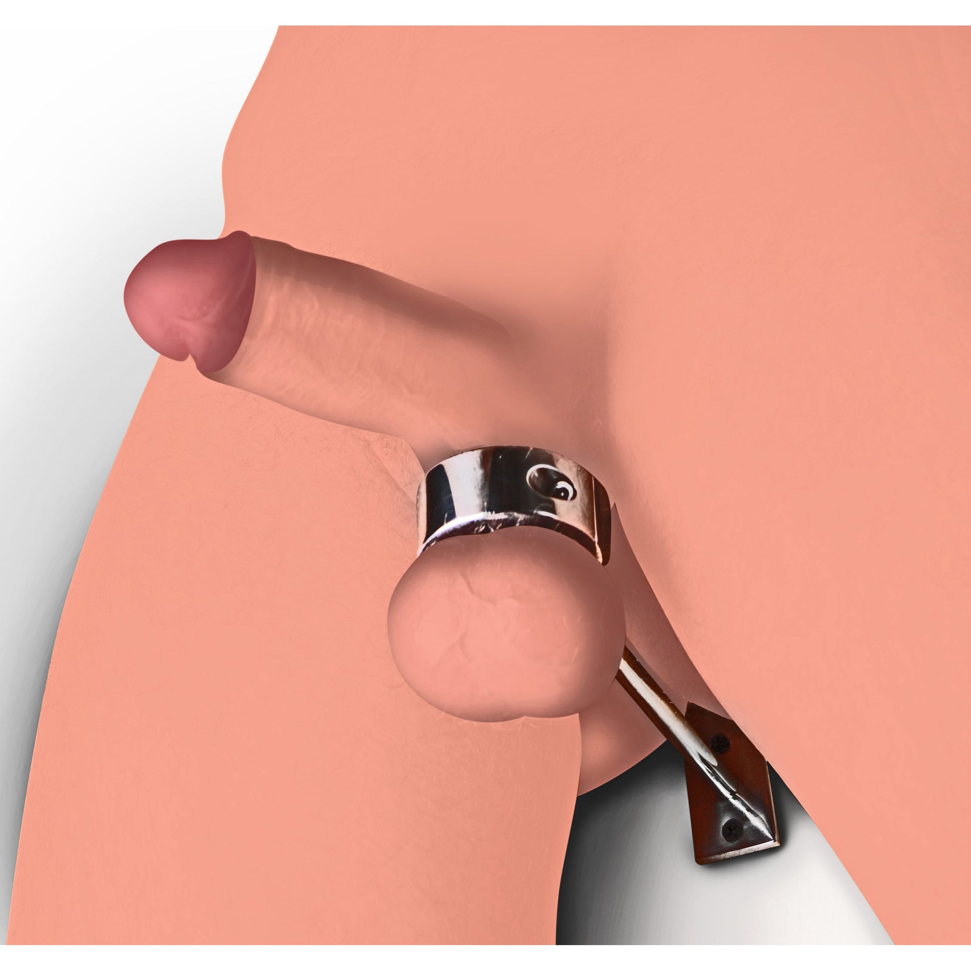Locking Mounted Cbt Scrotum Cuff With Bar MS - My Secret Sex Toy Delivery Locking Mounted Cbt Scrotum Cuff With Bar MS - My Secret Sex Toy Delivery