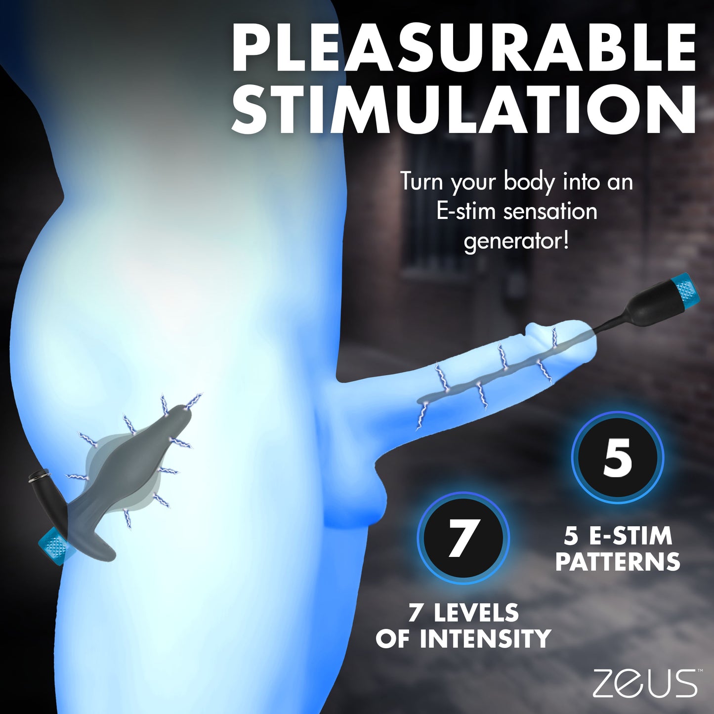 Inflatable Anal Plug & Urethral Sound E-stim Kit