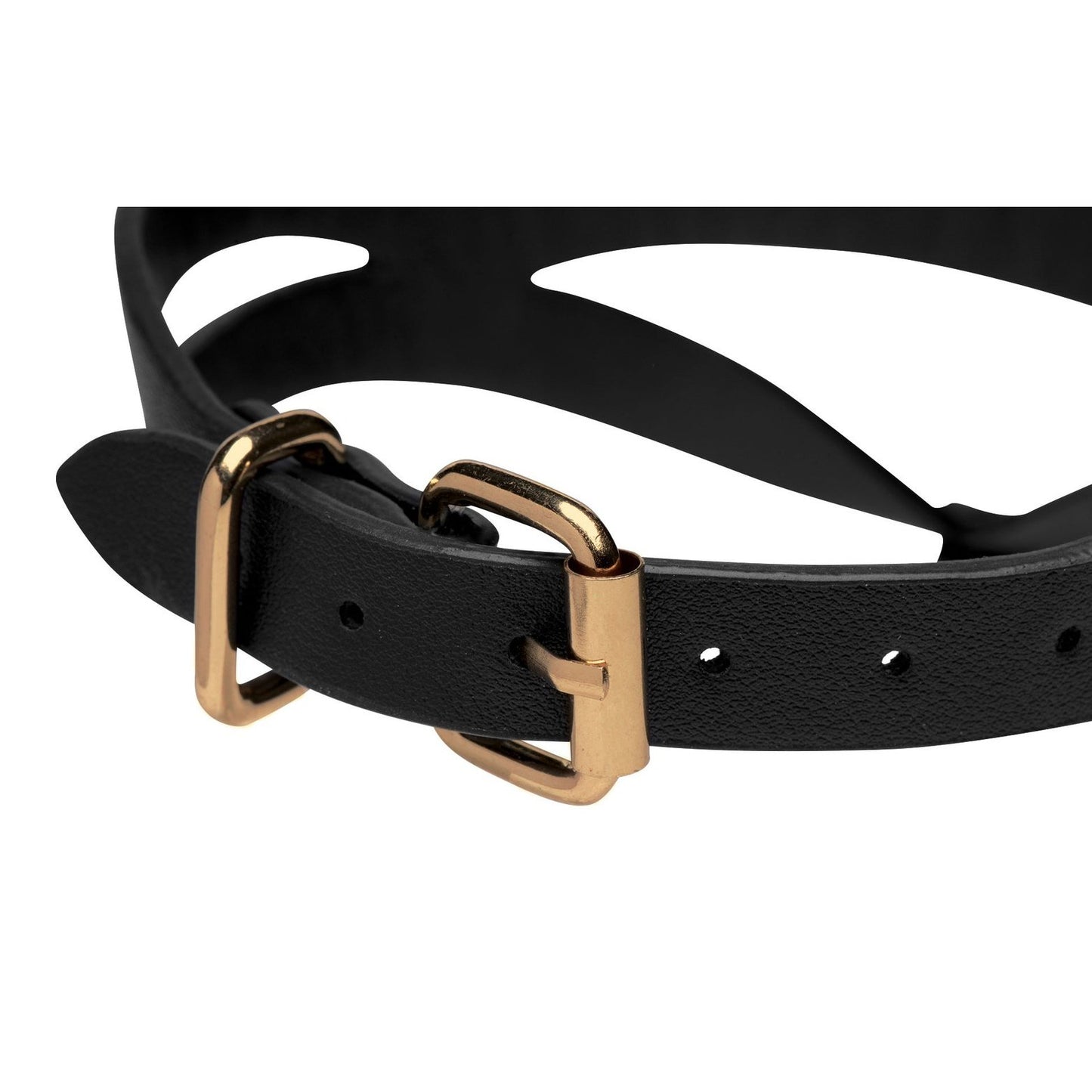 Black And Gold Collar With Leash Kit