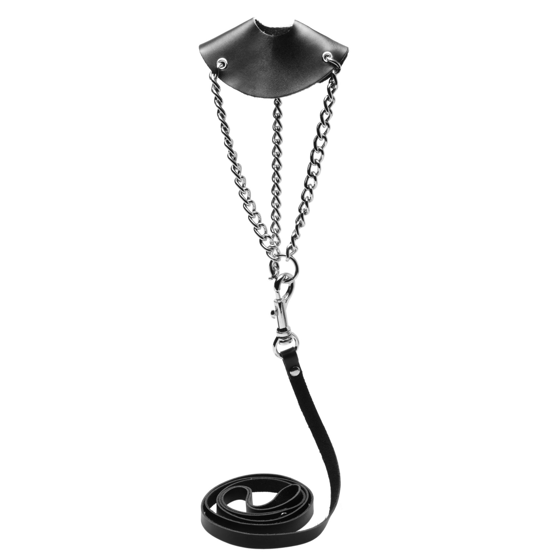 By The Balls Scrotum Stretching Kit With Leash MS - My Secret Sex Toy Delivery By The Balls Scrotum Stretching Kit With Leash MS - My Secret Sex Toy Delivery