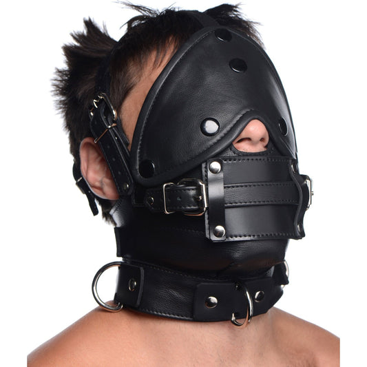 Leather Head Harness With Removeable Gag