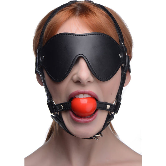 Blindfold Harness And Red Ball Gag